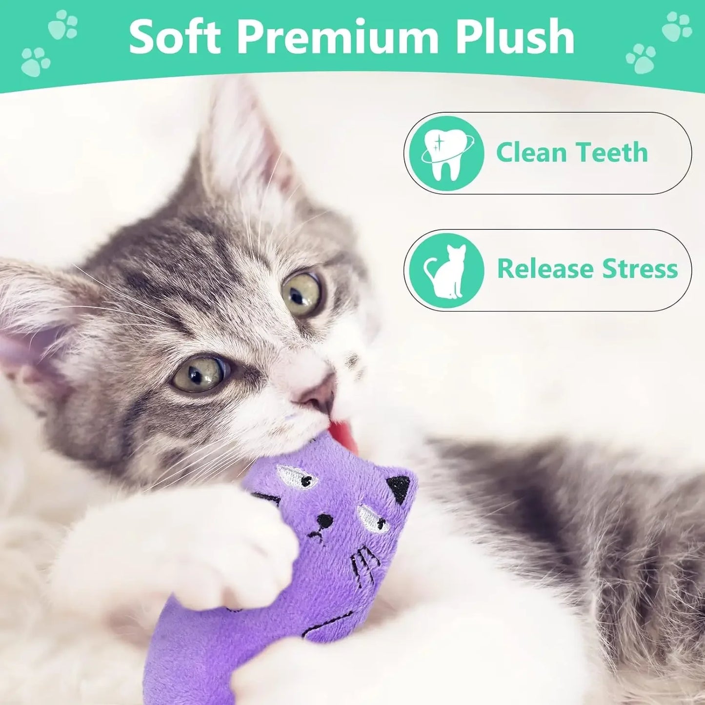 SCGK Cat Toy Catnip Toys Soft Plush Cat Nip Chew Toy for Indoor Cats, Interactive Kitten Pillow Kitty Teething Toys for Cat