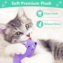 SCGK Cat Toy Catnip Toys Soft Plush Cat Nip Chew Toy for Indoor Cats, Interactive Kitten Pillow Kitty Teething Toys for Cat