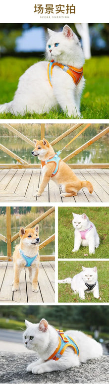 XXXS-L Reflective Pet Harness Dogs Strap with Leash Adjustable Harness Vest Breathable Collars for Chihuahua Small Large Dogs
