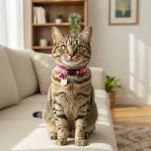 Adjustable Pet Cat Collar Quick Release Safety Buckle Anti-lost Cat Necklace Cat Pattern with Cat Face Pendant Bell