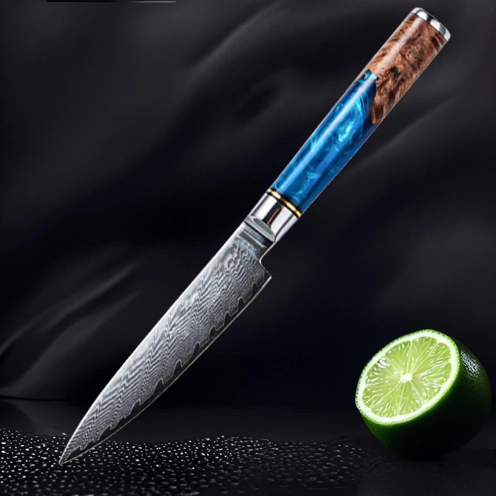 Damascus Steel High Carbon 67 Layer VG10 Chef's Knife Blue Resin Wood Handle Kitchen Chef's Knife Three-Piece Set