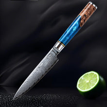 Damascus Steel High Carbon 67 Layer VG10 Chef's Knife Blue Resin Wood Handle Kitchen Chef's Knife Three-Piece Set