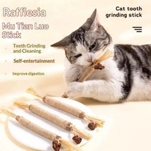 NEW 1/2PCS Cat Toys Made Of Wood Knotweed Teething Sticks Insect Galls Raffia Sisal Rope Teeth Cleaning Toys Cat Teasing Sticks