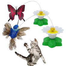 Interactive Cat Teaser Wand Toy - Automatic Rotating Electric Flying Butterfly Hummingbird, Indoor Kitten Exercise Play Toys