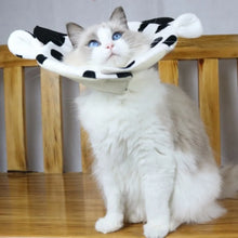 Soft Kitty Recovery Collar Sponge Flannel Cat Cosplay Elizabethan Collar Anti-licking Cute Dog Protective Neck Cone Stop Licking