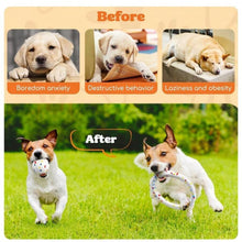 Bite Resistant Solid Dog Ball Toys for Small Dogs High Elasticity E-TPU Pet Chew Ball Toy Non Squeak Interactive Puppy Toy