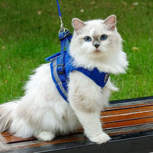 Cat Small Dog Breathable Mesh Harness And Leash Kitten Cats Harnesses Little Dog Puppy Harness For French Bulldog Chihuahua Pug