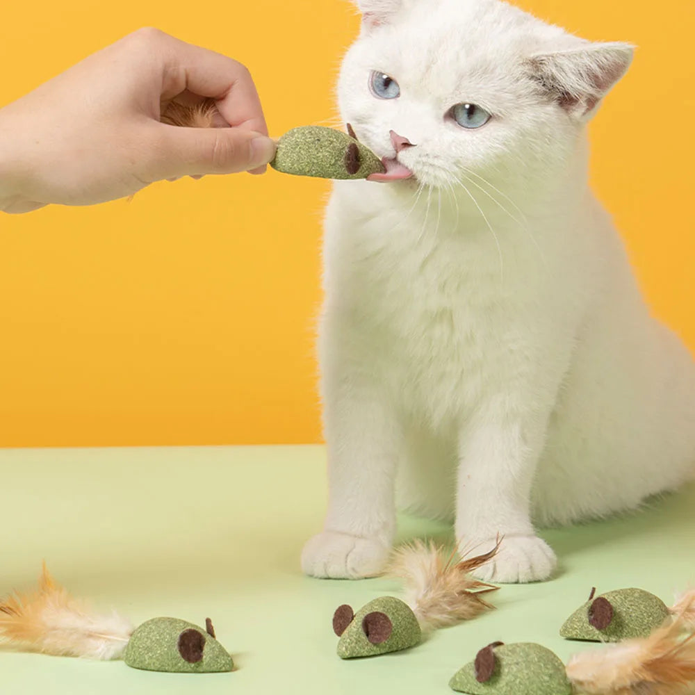 Mouse Mint Ball Feather Catnip Ball Self Cleaning Teeth Grinding Ball Feather Toy Ball Pet Toys Cat Supplies Pet Cleaning Tool
