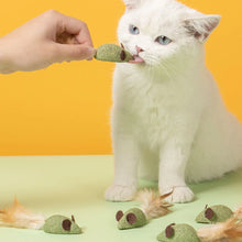 Mouse Mint Ball Feather Catnip Ball Self Cleaning Teeth Grinding Ball Feather Toy Ball Pet Toys Cat Supplies Pet Cleaning Tool