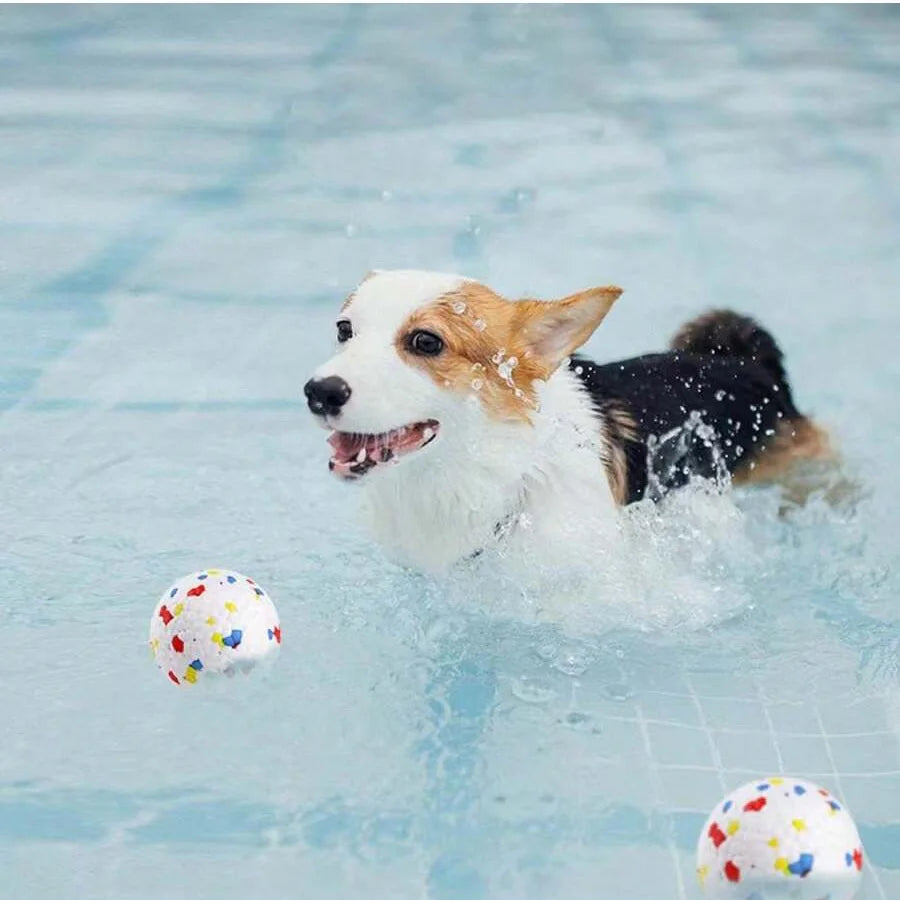 Bite Resistant Solid Dog Ball Toys for Small Dogs High Elasticity E-TPU Pet Chew Ball Toy Non Squeak Interactive Puppy Toy