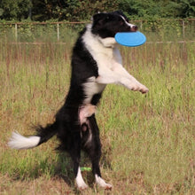 Jouet soucoupe volante interactif en silicone pour chiens et chats, disque volant résistant à la mastication, jeu pour animaux de compagnie idéal pour le dressage des chiots