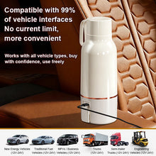 12V/24V/110V/220V Temperature Control Electric Kettle Car Travel Insulation Heating Cup 500ml Hot Water Boiler Coffee Tea Bottle