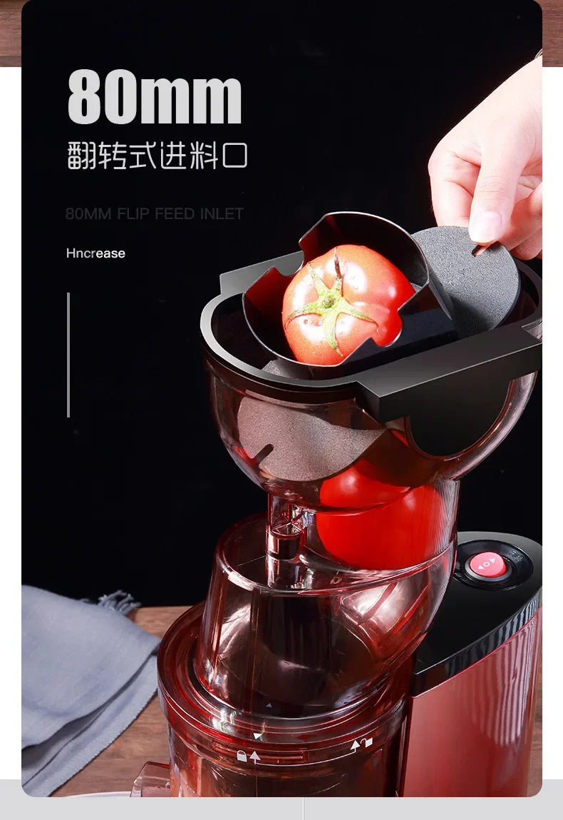 220V Cold Press Juicer Home Slag Separation Ginger Fruit Vegetable Juice Extractor Multifunctional Fruit Slow Juicer Automatic