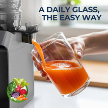 ROUNY Cold Press Extractor with Filter-Free, Easy Clean Electric Fruit Slow Juicer Machine with 130mm Large Feed Caliber,  Black