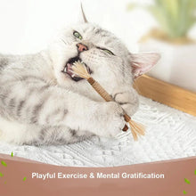 Cat Silver Vine Teeth Grinding Rod Natural Catnip Cat Toy Dental Care Wood Toy For Cat Bite Resistant Tooth Cleaning Supplies