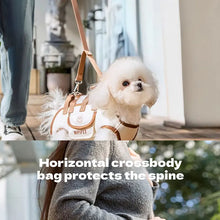 Dog bag out portable breathable multi-functional traction backpack Easy to Clean Backpack Breathable Adjustable cat bag petstrap