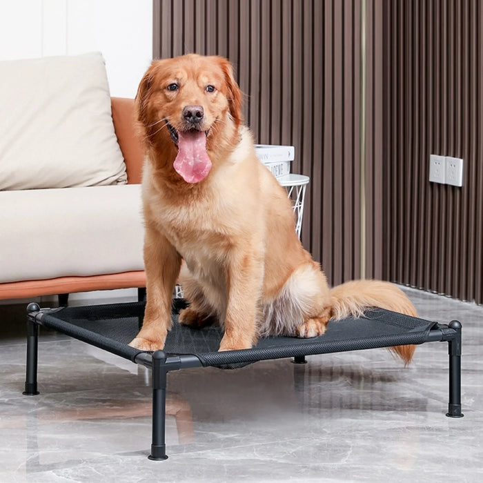 Lit surélevé pour animal de compagnie, lit de camping pliable pour chien et chat, niche portable, amovible et lavable, panier pour chat et chiot utilisable en toute saison