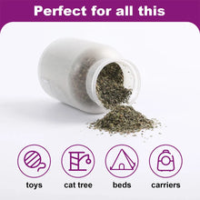 Organic Catnip Safe Premium Blend Perfect for Cats, Instilled with Maximized Potency your Kitty is Guaranteed to Go Crazy 100ML