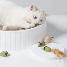 Mouse Mint Ball Feather Catnip Ball Self Cleaning Teeth Grinding Ball Feather Toy Ball Pet Toys Cat Supplies Pet Cleaning Tool