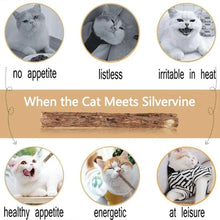 15pcs Natural Matatabi Cat Catnip Toy Kitten Molar Chew Stick Pet Cleaning Teeth Cat Treat Toy Actinidia Silvervine Pet Products