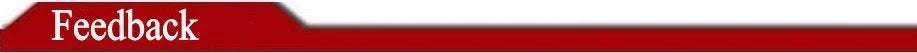 Mermaid / Trumpet Evening Gown Sparkle Dress Homecoming Sweep / Brush Train Long Sleeve Illusion Neck Lace with Appliques 2023