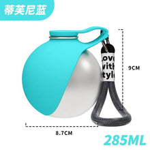 Portable Dog Water Bottle, 304 Stainless Steel Pet Drinking Bottle with Hook & Leak Proof Ball Valve for Walking Travel