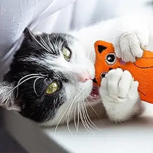 SCGK Cat Toy Catnip Toys Soft Plush Cat Nip Chew Toy for Indoor Cats, Interactive Kitten Pillow Kitty Teething Toys for Cat