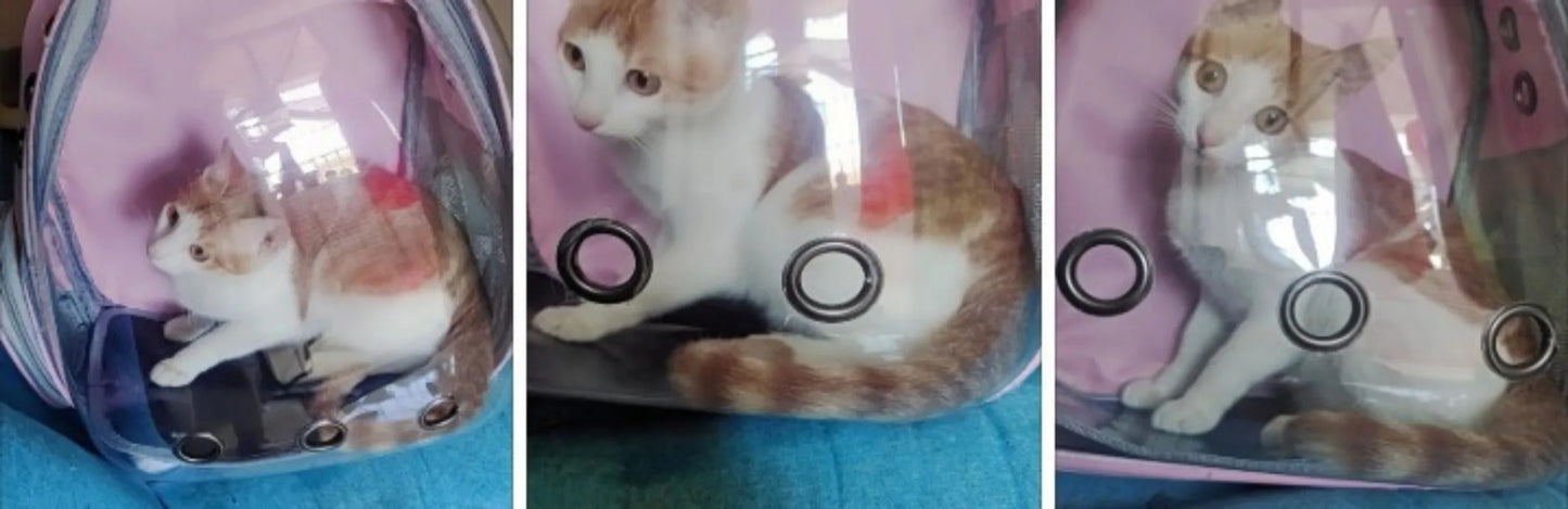 Pet carrying bag space  Space capsule dual-shoulder backpack  Breathable transparent backpack  Cat and dog transportation bag