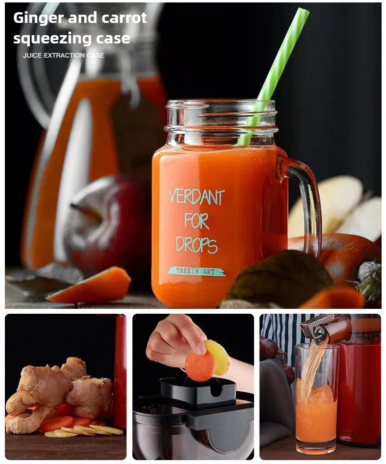 220V Cold Press Juicer Home Slag Separation Ginger Fruit Vegetable Juice Extractor Multifunctional Fruit Slow Juicer Automatic