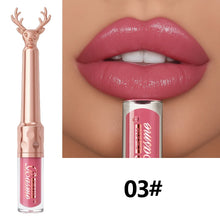 Brillant à lèvres hydratant, rouge à lèvres liquide hydratant automne/hiver, maquillage pour les lèvres longue tenue non gras, brun de Noël