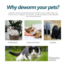 50ml Pet Anti Flea Tick Agent for Cats, Dogs, and Dogs. Extracorporeal Deworming Skin Cleaning Agent for Lice, Ticks, and Ticks