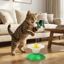 Interactive Cat Teaser Wand Toy - Automatic Rotating Electric Flying Butterfly Hummingbird, Indoor Kitten Exercise Play Toys