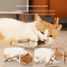 NEW 1/2PCS Cat Toys Made Of Wood Knotweed Teething Sticks Insect Galls Raffia Sisal Rope Teeth Cleaning Toys Cat Teasing Sticks