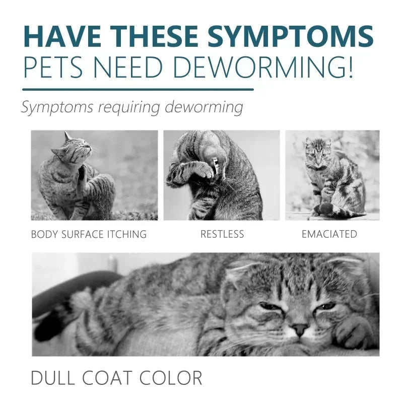 50ml Pet Anti Flea Tick Agent for Cats, Dogs, and Dogs. Extracorporeal Deworming Skin Cleaning Agent for Lice, Ticks, and Ticks