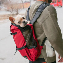 Dog Backpack Carrier Open Top Pet Travel Bag Breathable Washable Portable Outdoor Cycling Shopping Puppy Cat Backpack Pet
