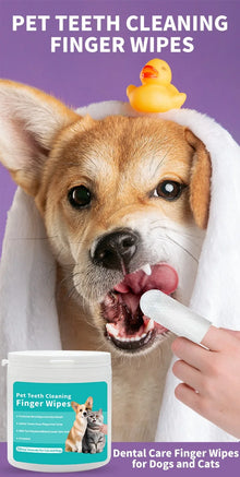 Produits de nettoyage pour animaux, brosses à dents jetables pour le doigt, doigtiers de nettoyage des dents pour animaux, lingettes humides, hygiène bucco-dentaire pour chiens et chats