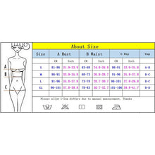 Micro Bikinis 2025 Sexy Women Swimsuit Swimwear Female Brazilian Bikini Set Biquini Bathing Suit Plaid Swimming Suits Beachwear