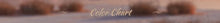 Customized 2026 Illusion Neck Church Wedding Dress Long Sleeve Robe Lace Beading Bride Dress Ball Gown Women Vestidos de novia