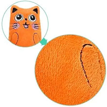 SCGK Cat Toy Catnip Toys Soft Plush Cat Nip Chew Toy for Indoor Cats, Interactive Kitten Pillow Kitty Teething Toys for Cat