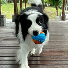 Dog Squeaky Balls Toy Dog Soft TPR Chew Toy Dog Pet Teeth Cleaning Bite Resistance Puppy Training Sound Toy Pet Supplies