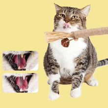 NEW 1/2PCS Cat Toys Made Of Wood Knotweed Teething Sticks Insect Galls Raffia Sisal Rope Teeth Cleaning Toys Cat Teasing Sticks