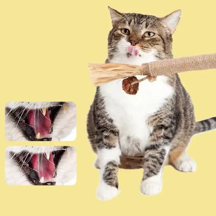 NEW 1/2PCS Cat Toys Made Of Wood Knotweed Teething Sticks Insect Galls Raffia Sisal Rope Teeth Cleaning Toys Cat Teasing Sticks