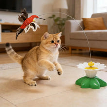 Interactive Cat Teaser Wand Toy - Automatic Rotating Electric Flying Butterfly Hummingbird, Indoor Kitten Exercise Play Toys