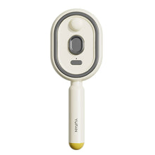 Electric Steam Brush with Water Spray Rechargeable Steams Hair Straightener for Detangling Smoothing Styling & Frizz Control