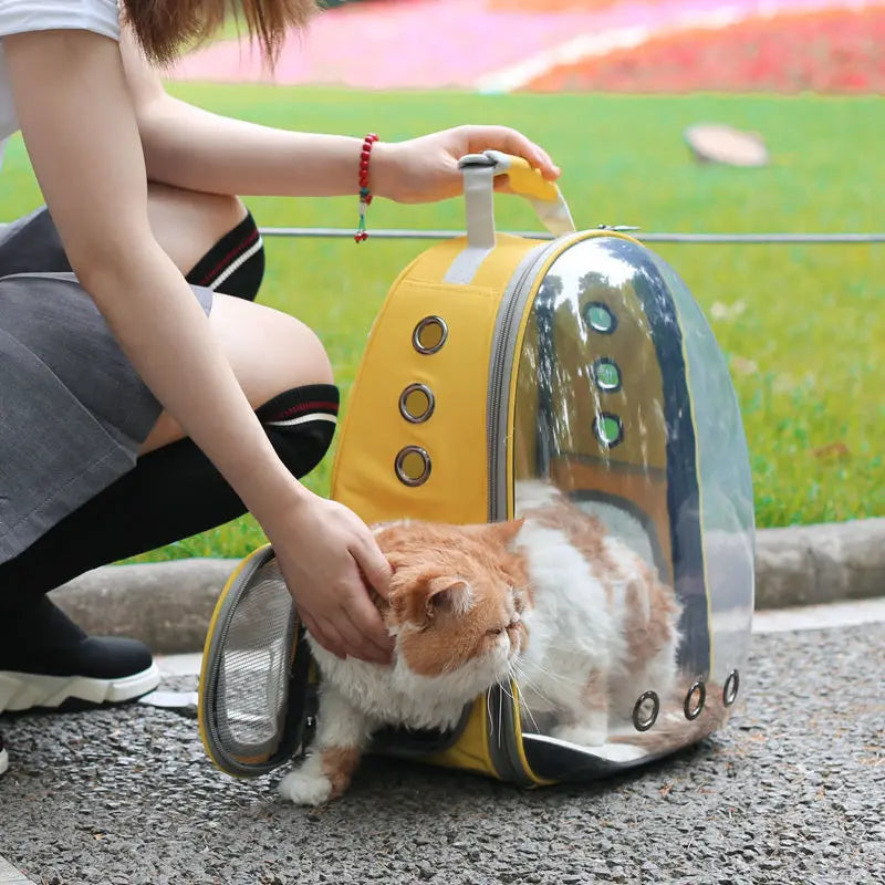 Pet carrying bag space  Space capsule dual-shoulder backpack  Breathable transparent backpack  Cat and dog transportation bag