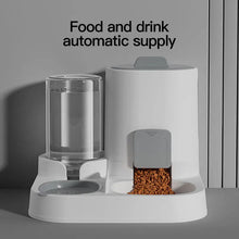 1-Pack Automatic Gravity-Fed Cat Water Dispenser & Feeder - Spill-Proof Large Capacity One-Piece Design,