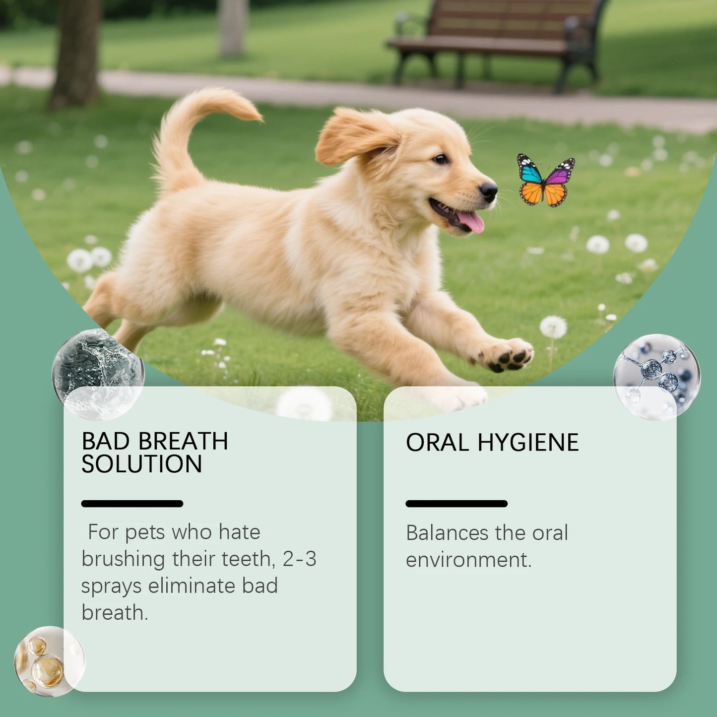Pet Oral Spray for Dogs Cats Fresh Breath Clean Teeth Remove Plaque Tartar No Rinsing Bad Smell Mouth Harmless Healthy Care