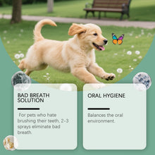 Pet Oral Spray for Dogs Cats Fresh Breath Clean Teeth Remove Plaque Tartar No Rinsing Bad Smell Mouth Harmless Healthy Care