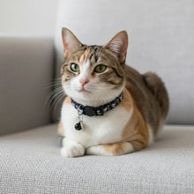 Adjustable Pet Cat Collar Quick Release Safety Buckle Anti-lost Cat Necklace Cat Pattern with Cat Face Pendant Bell