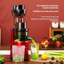 220V Cold Press Juicer Home Slag Separation Ginger Fruit Vegetable Juice Extractor Multifunctional Fruit Slow Juicer Automatic